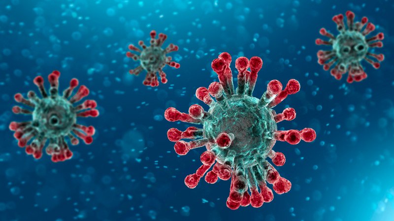 Coronavirus: EverythingYou Need to Know